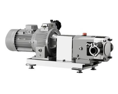 ZZB型轉(zhuǎn)子泵 ZZB型轉(zhuǎn)子泵